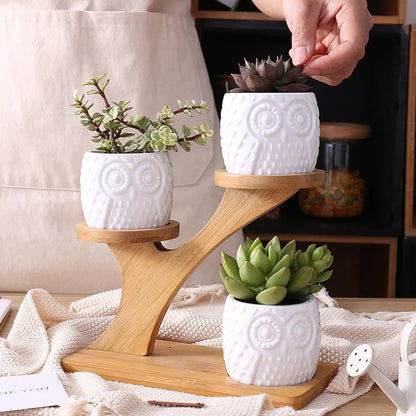 f9jB48jTNx4TFey.webp
